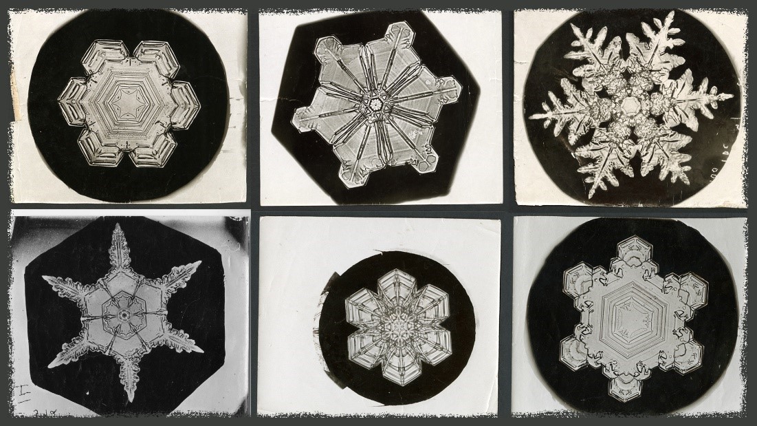 Why Scientists Find Snowflakes Cool - Vimarsana News