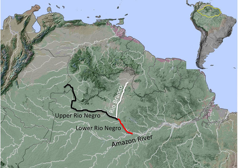 Amazon-map.jpg
