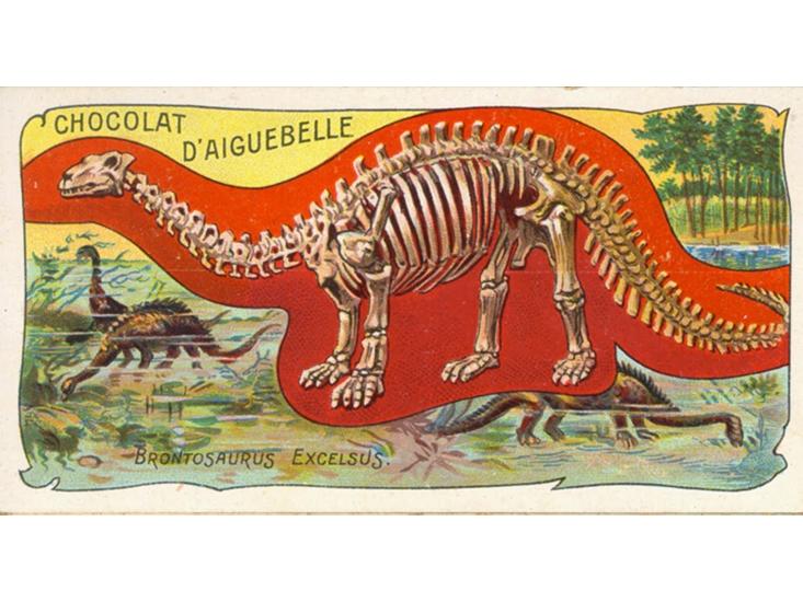 old-bronto.jpg