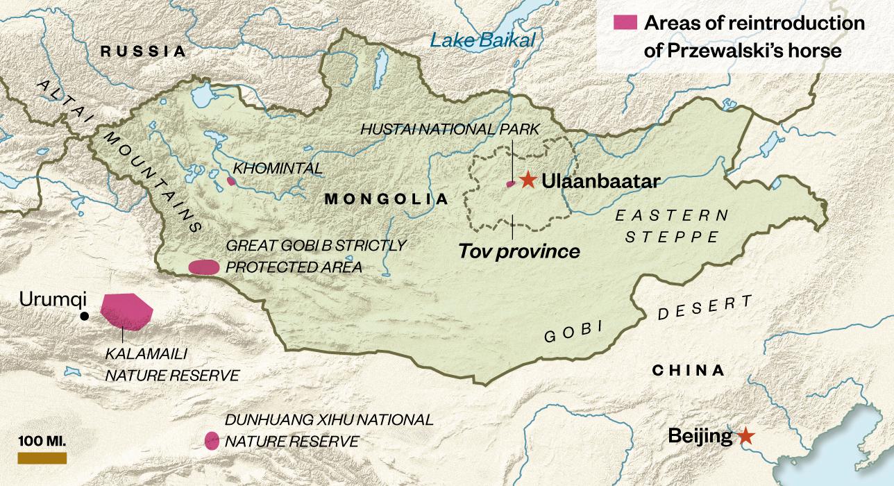 P-horse reintroduction map