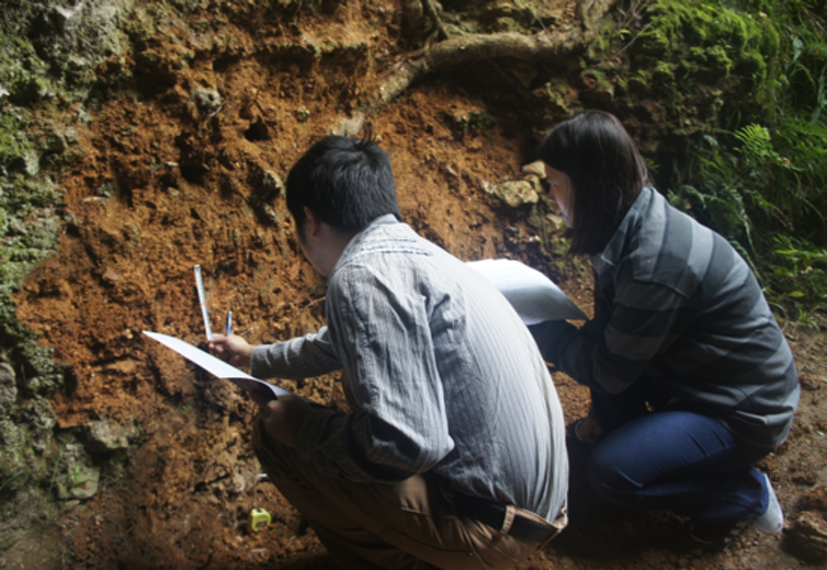 Chinese Excavation