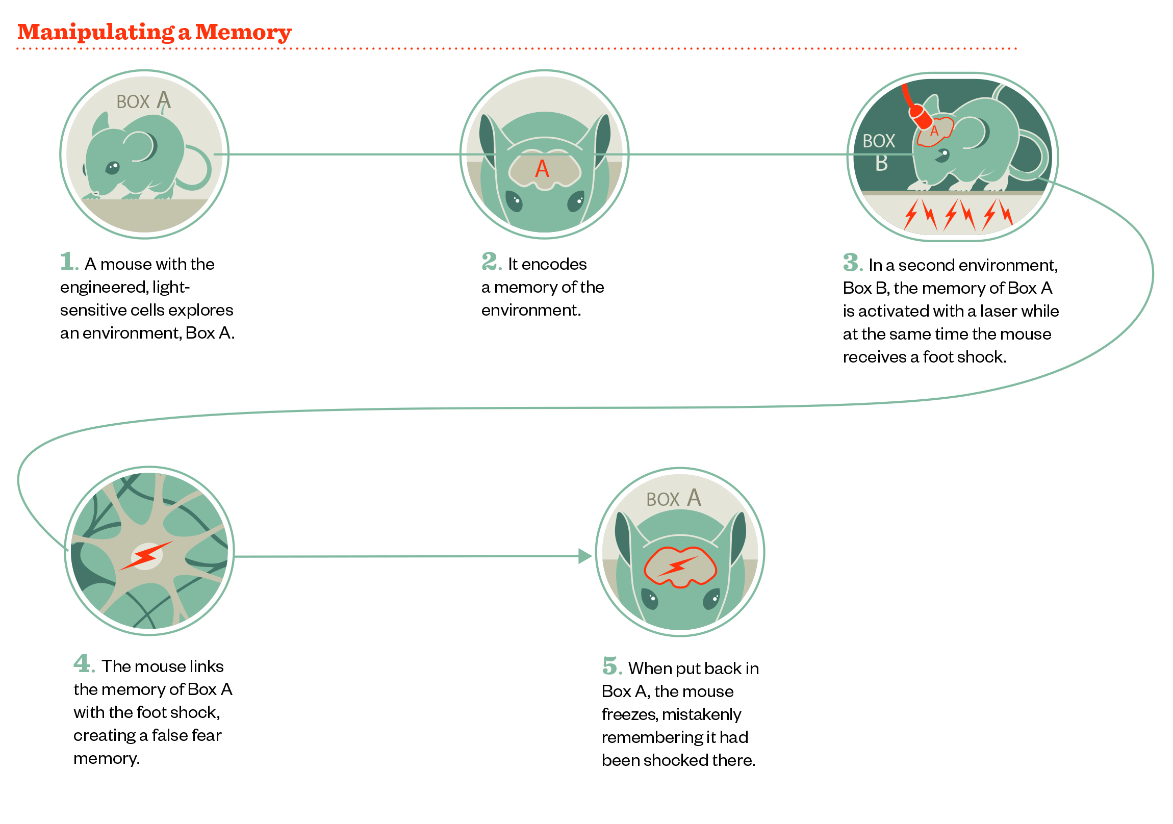 Infographic3.jpg