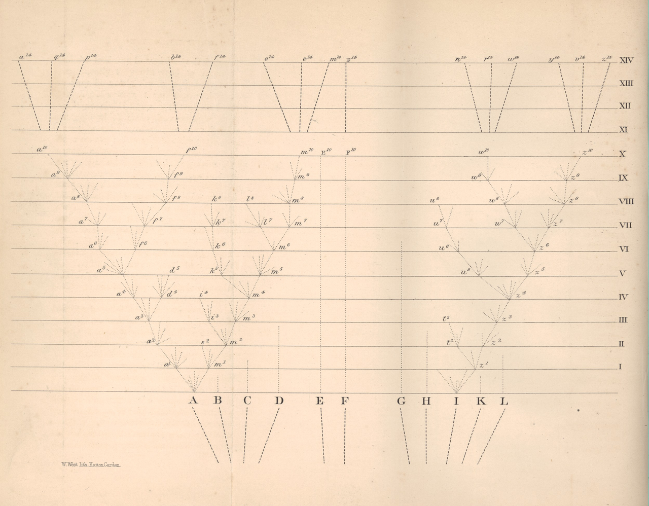 1280px-On_the_Origin_of_Species_diagram.png