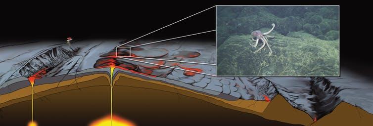 Illustration of a mid-ocean ridge