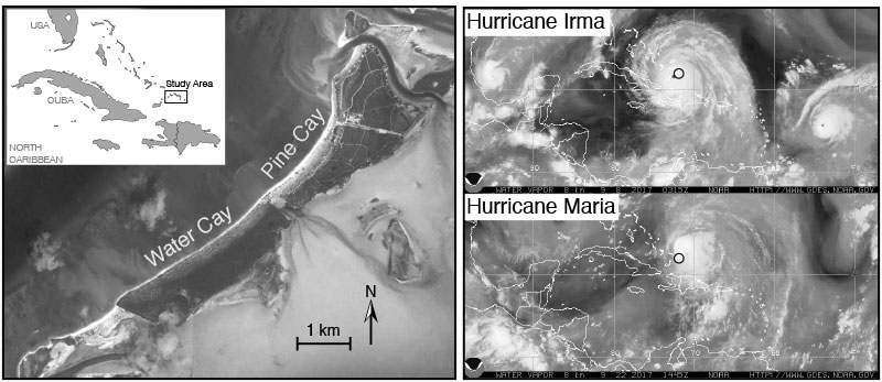 Figure1.jpg