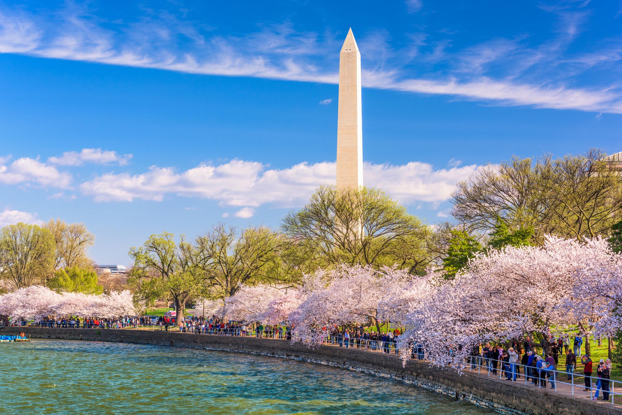Cherry Blossom Forecast 2018 Washington, D.C. Travel Smithsonian