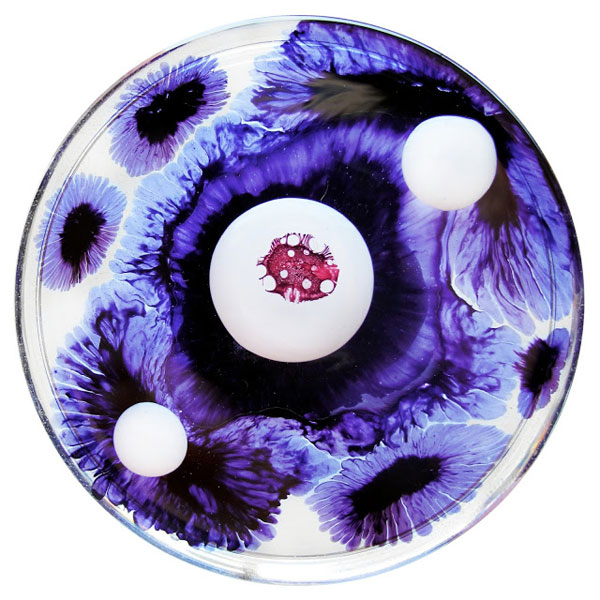 every-day-a-different-dish-klari-reis-petri-paintings-science