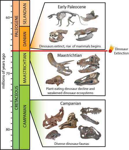 dinosaur timeline
