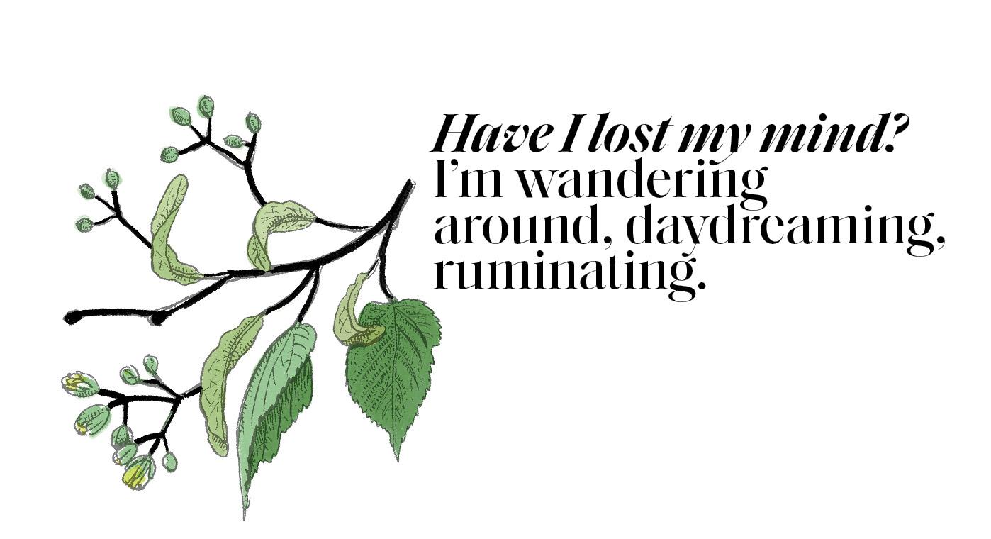 leaf.pullquote.2.jpg