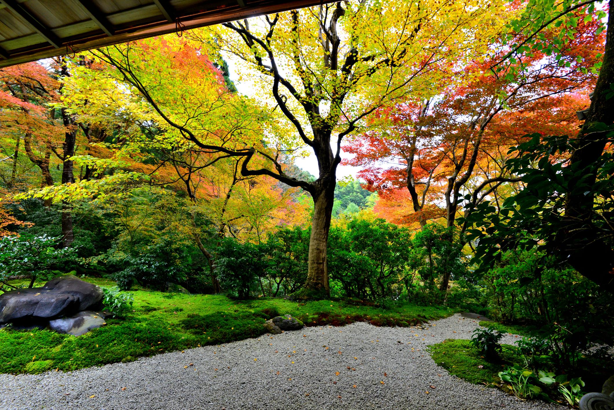 Ruriko-in Temple, Kyoto, Japan