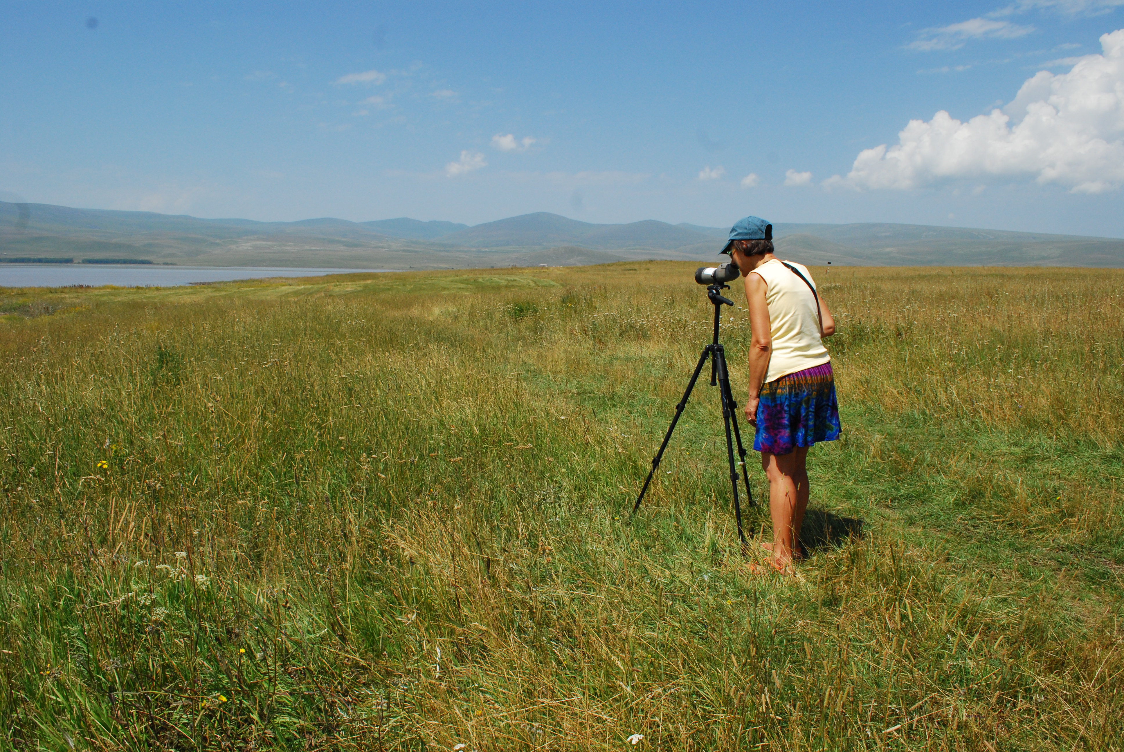 H. Tadevosyan, AMAP