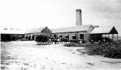 The cane boiling house