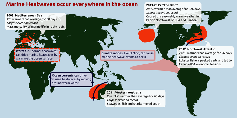 Marine heatwaves occur everywhere in the ocean.