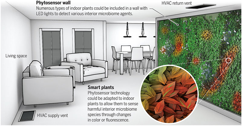 plant-wall.jpg