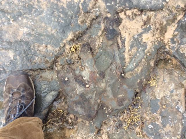 DAMAGED FOOTPRINT 1.jpg