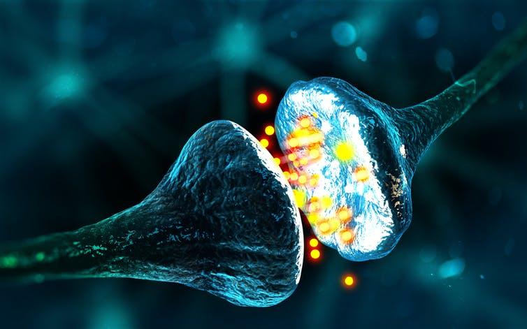 Neurotransmitters are the brain’s chemical messengers.