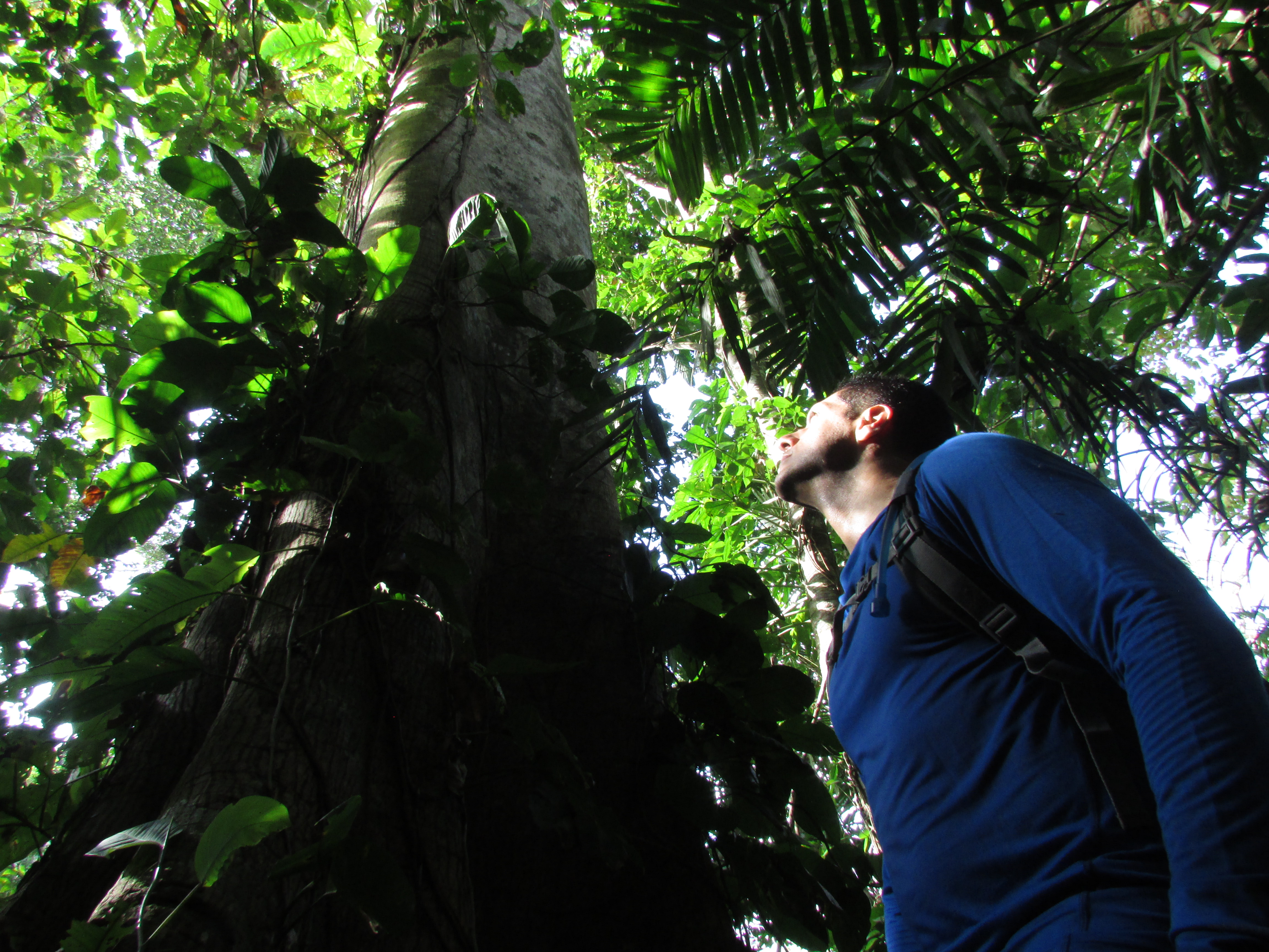 Javier at base of big tree.JPG