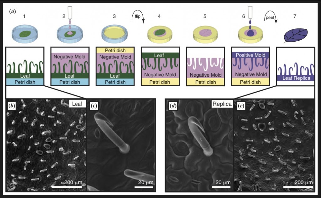 Fabrication of biomimetic surfaces