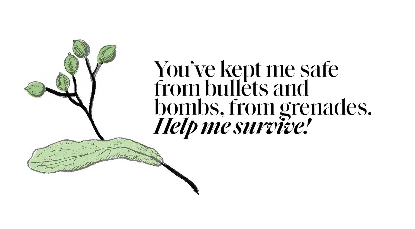 leaf.pullquote.3.jpg