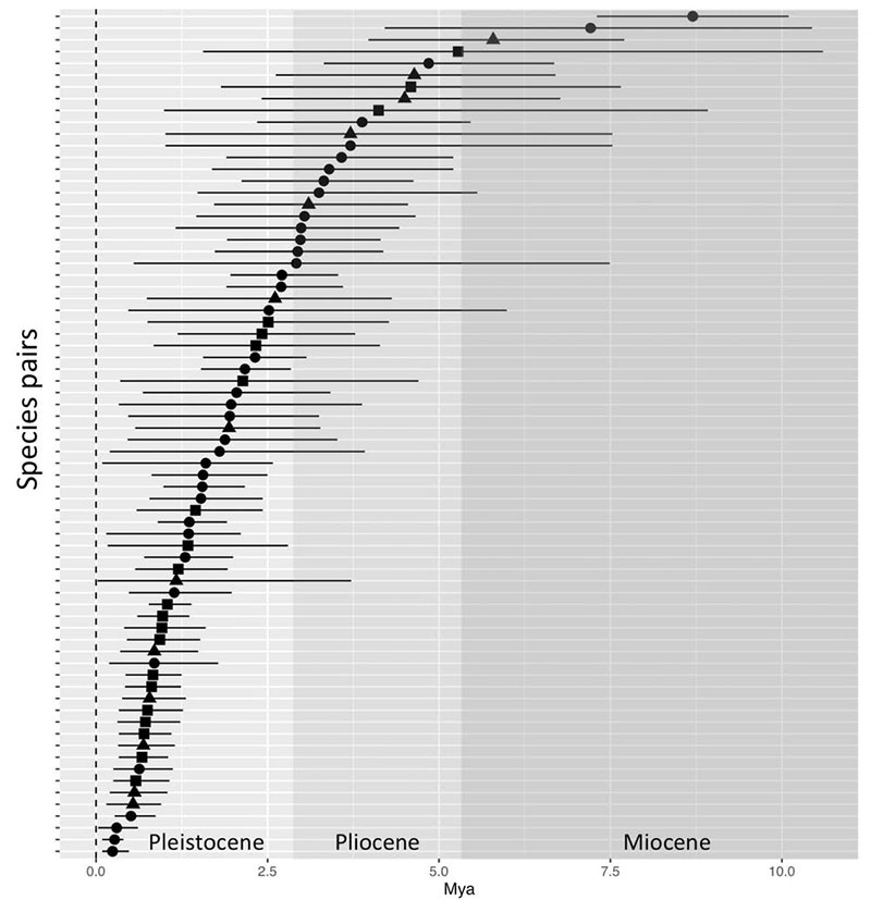 species-graph.jpg