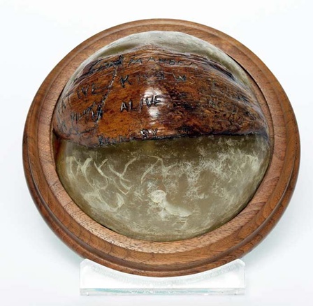 coconut.jpg