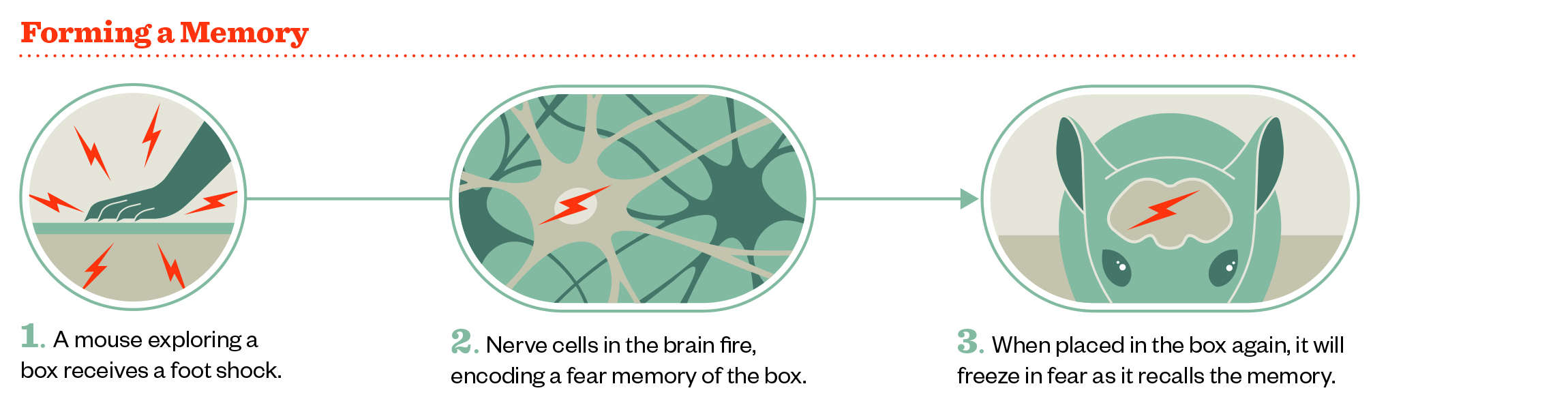 Infographic1.jpg