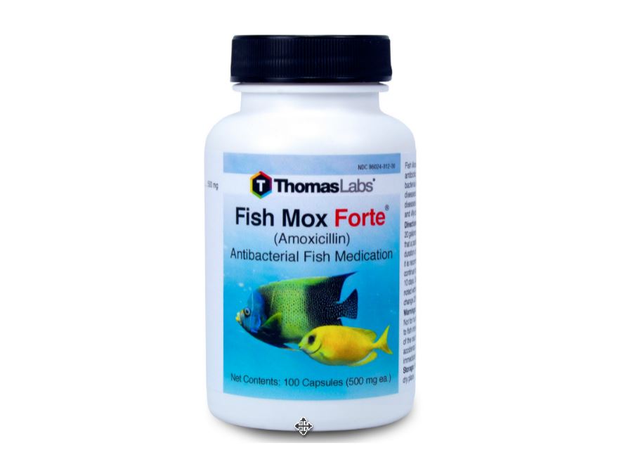 mox_forte_100.jpg