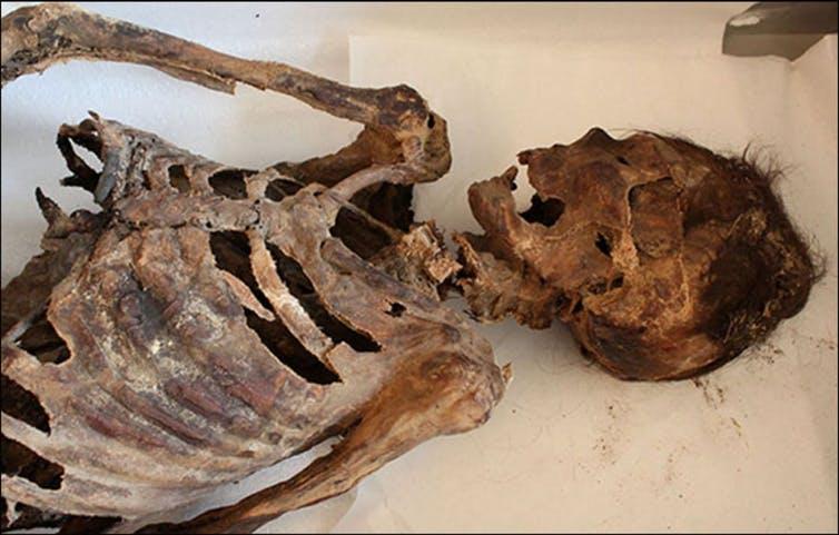 Discovering mummies offers the opportunity to increase interest and tourism in Mongolia.