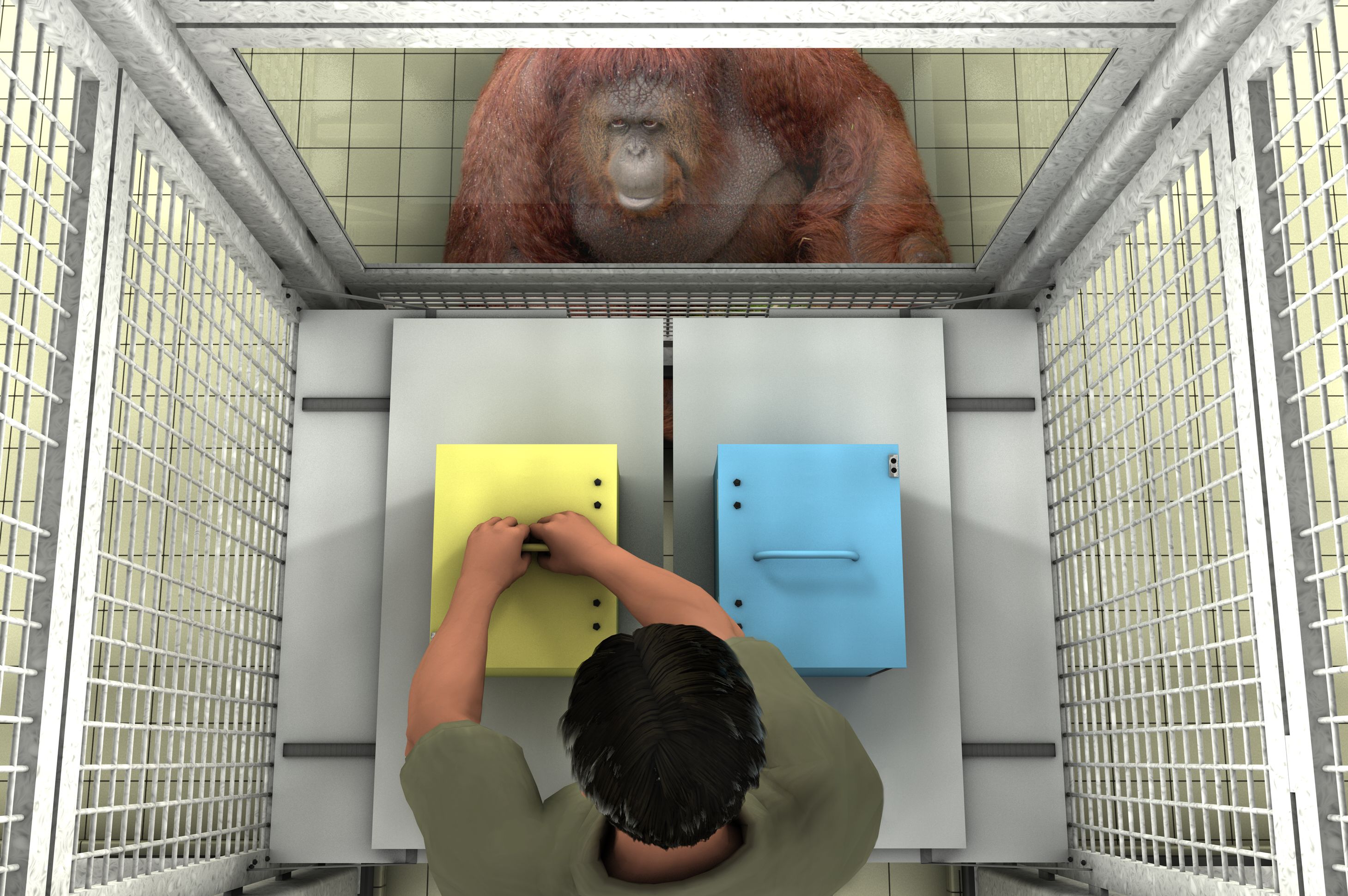 False Beliefs Test