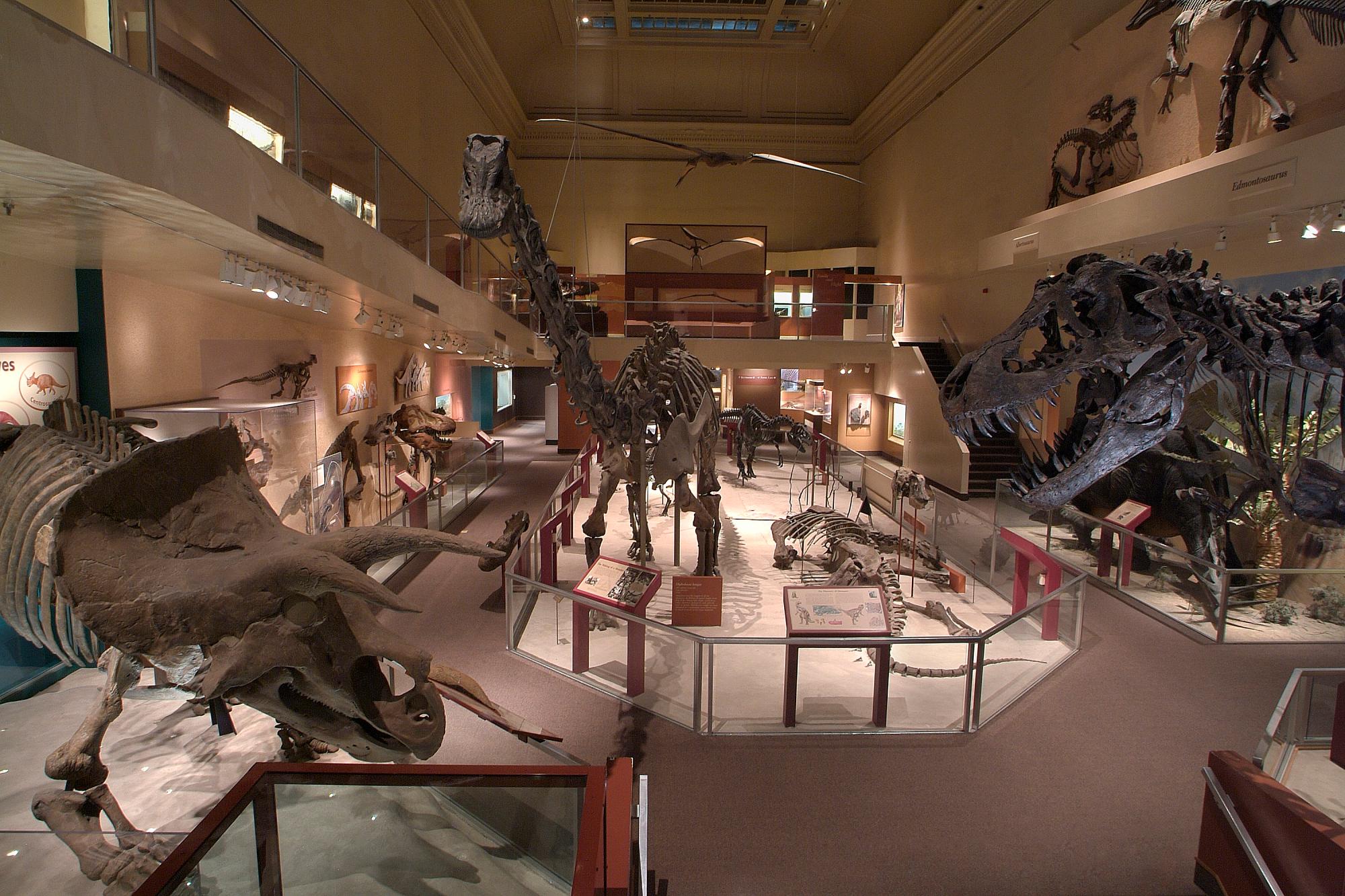 DinoHall.jpg