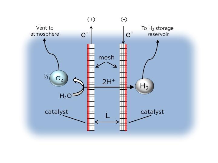schematic side view.jpg