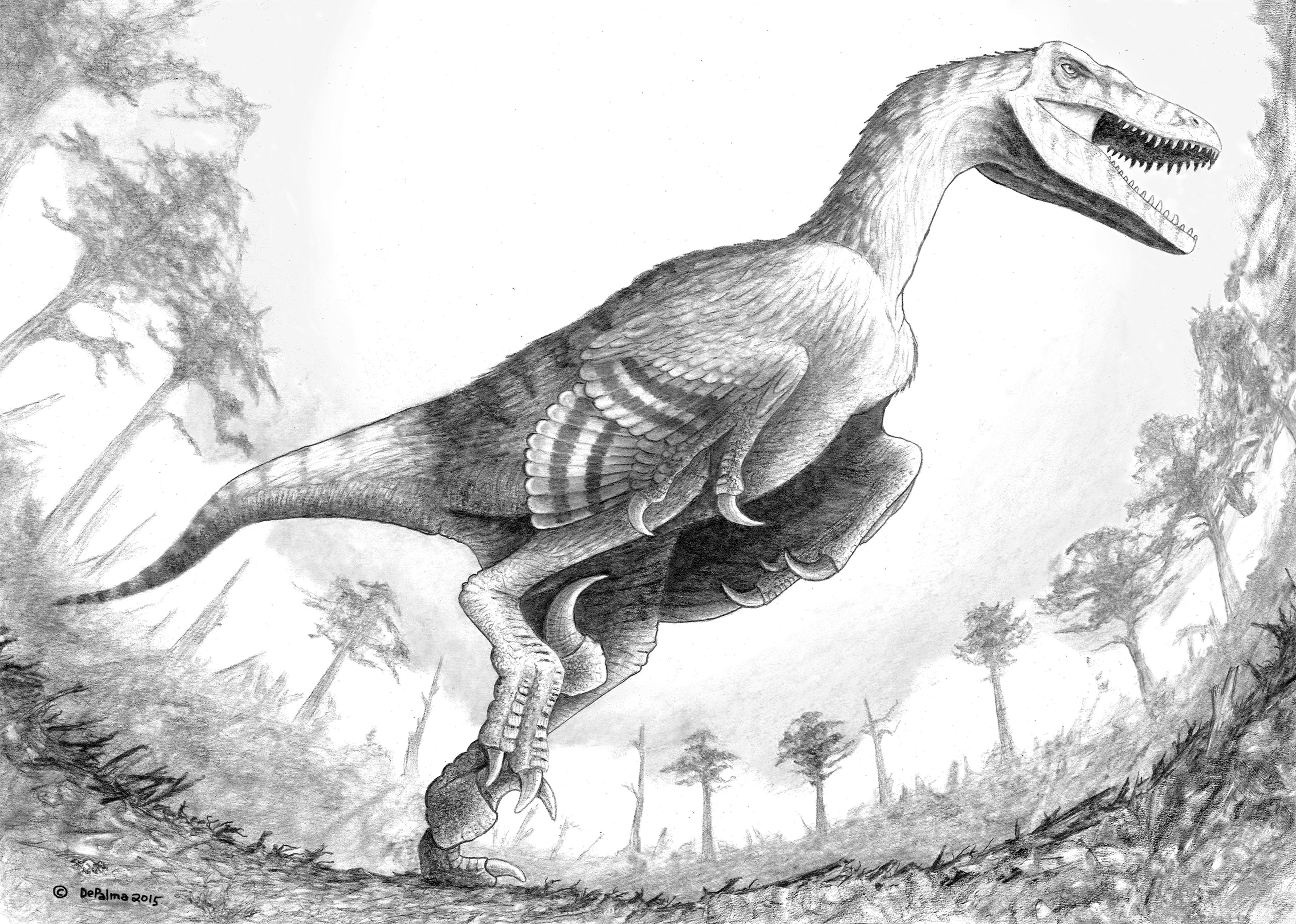 D-raptor press edit normal.jpg