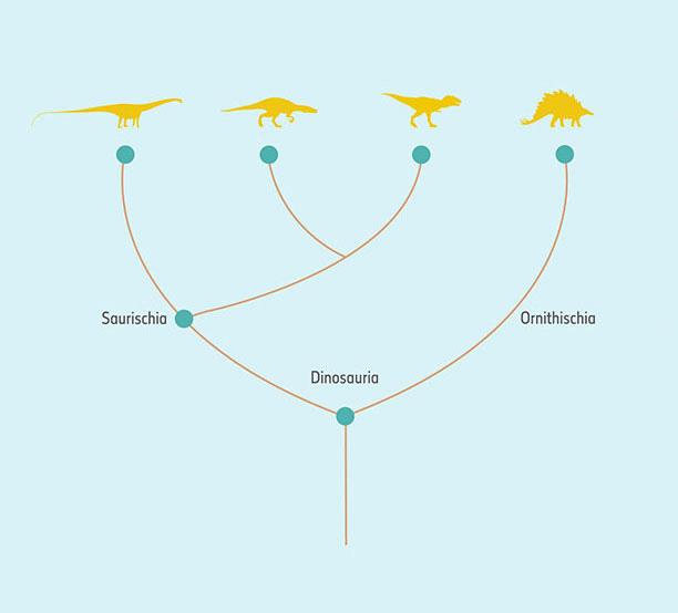 dinosaurtree.jpg
