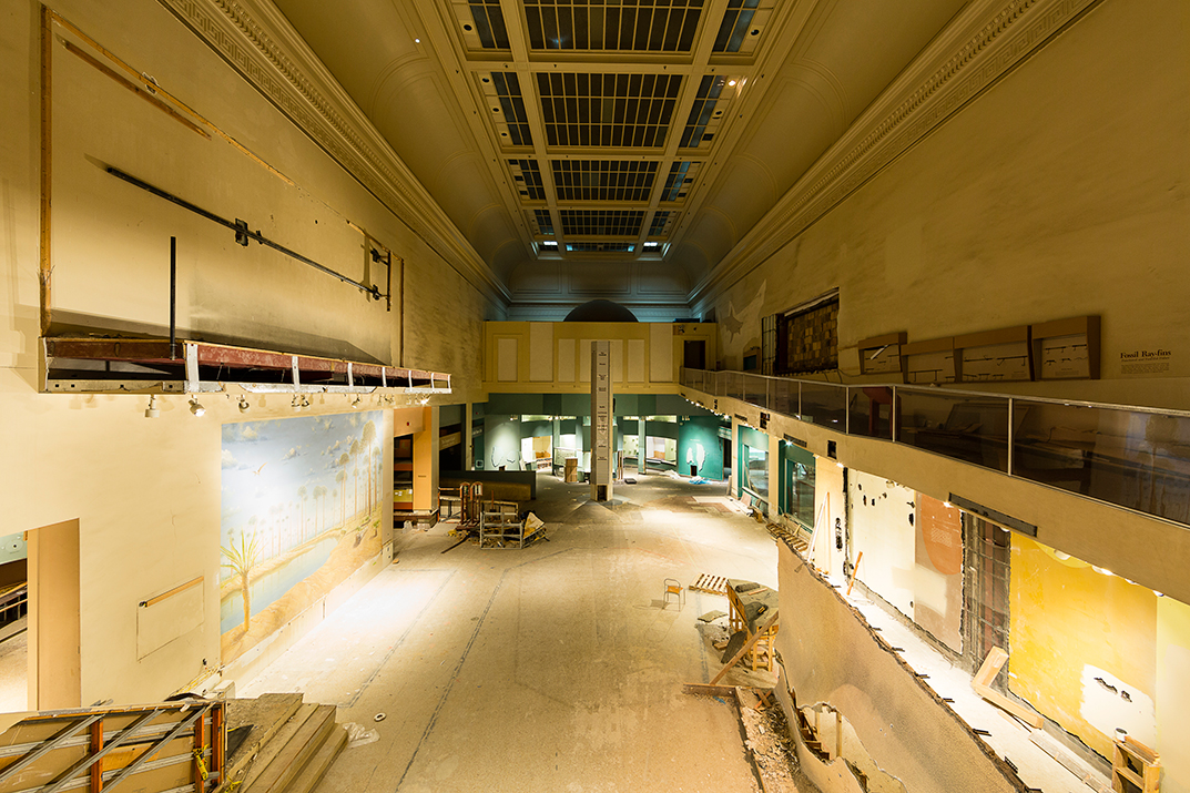 Empty Dino Hall