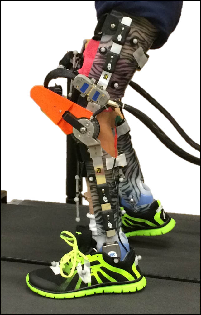 Demo_8.png