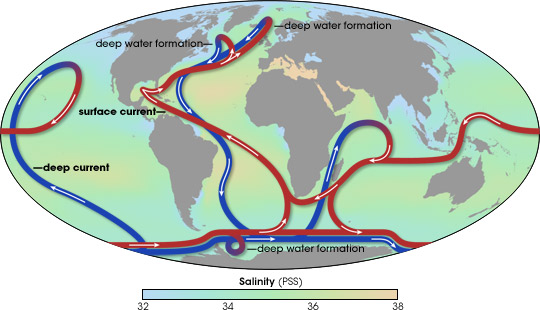 thermohaline_circulation.jpg