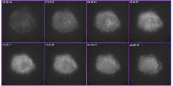 A 30-second snapshot