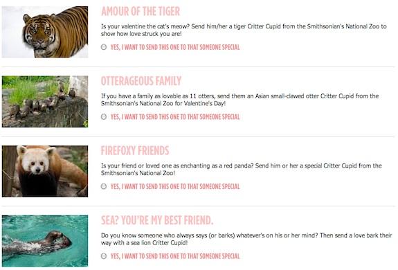 Animal puns are the most romantic gift you can give, according to nine out of ten Zoo creatures.