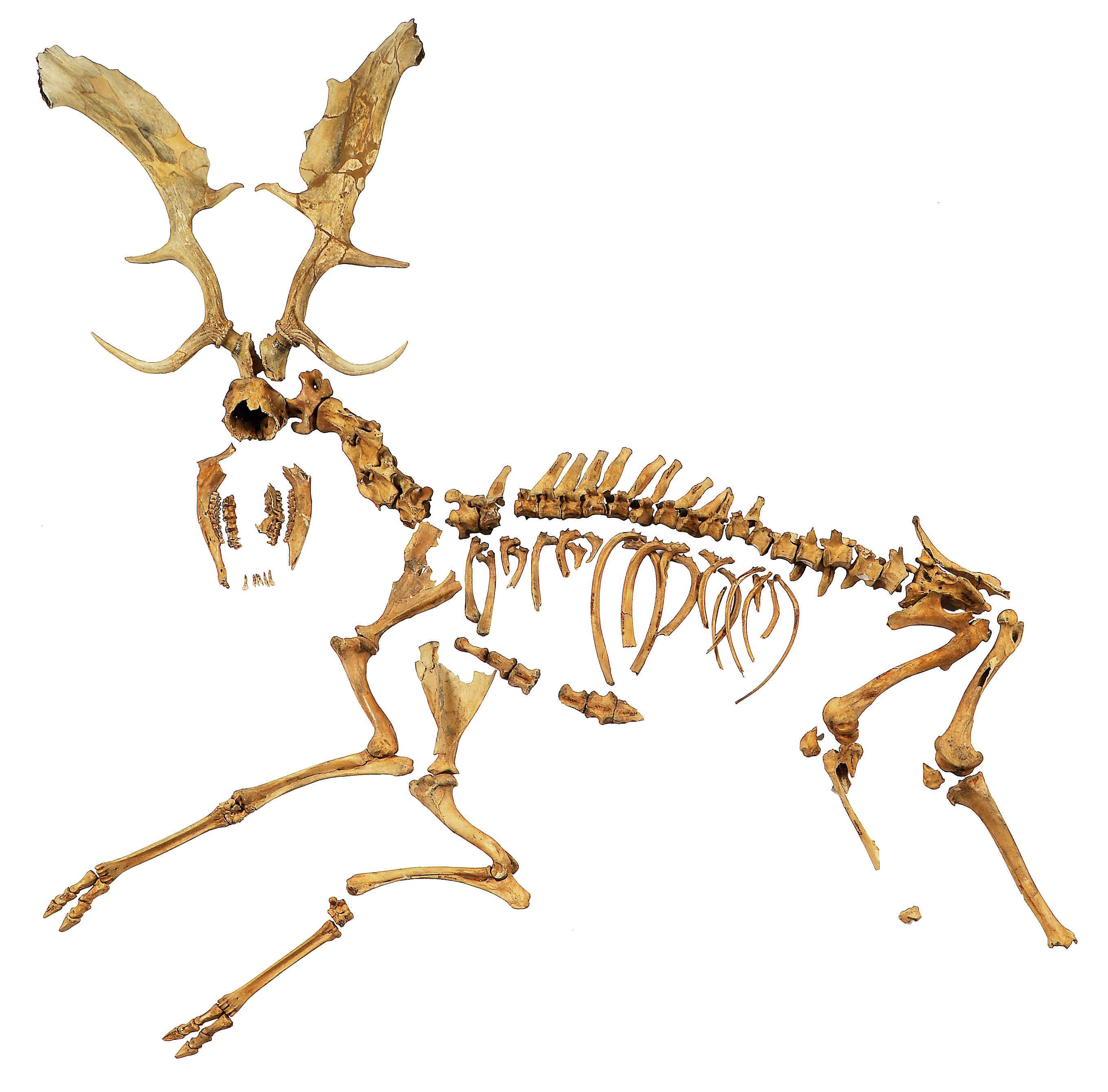 Figure 5.jpeg