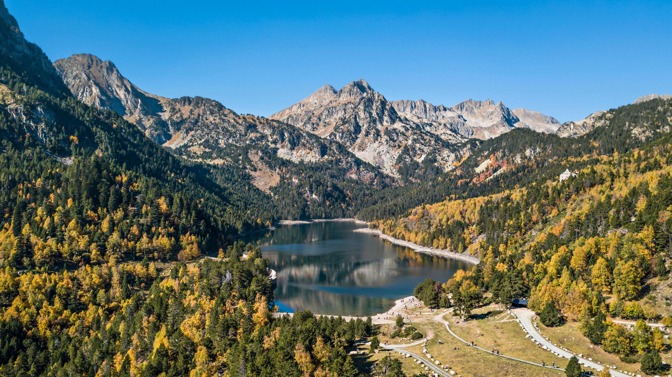 iStock-862199670.jpg