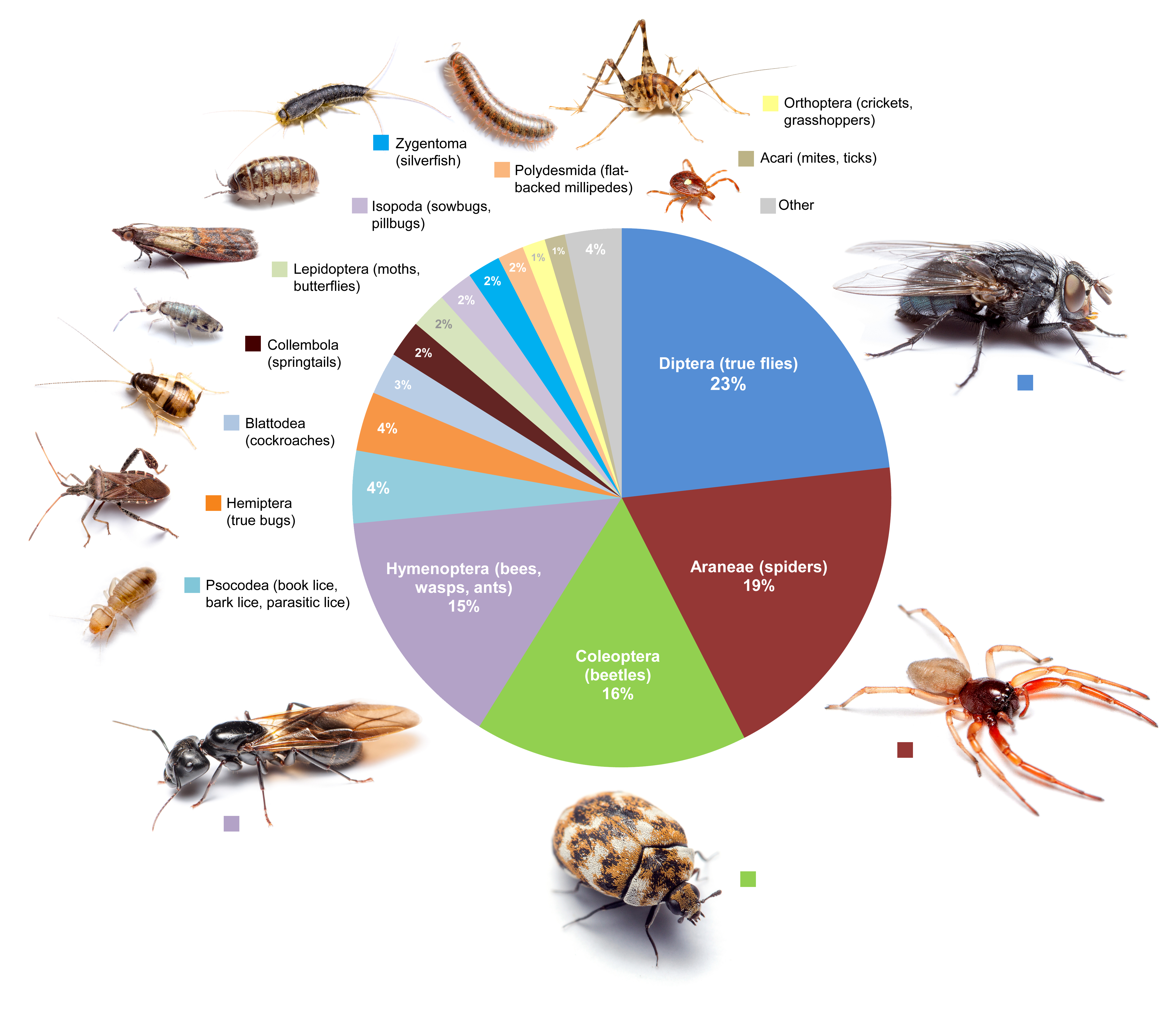 peerj-5974-Figure5.png