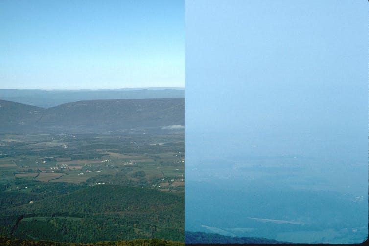 Shenandoah National Park’s Shaver Hollow