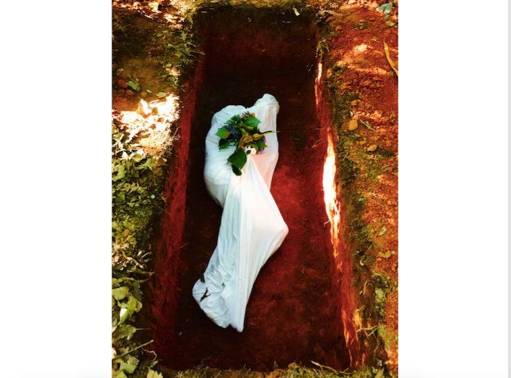 shroud-side-landscape.png