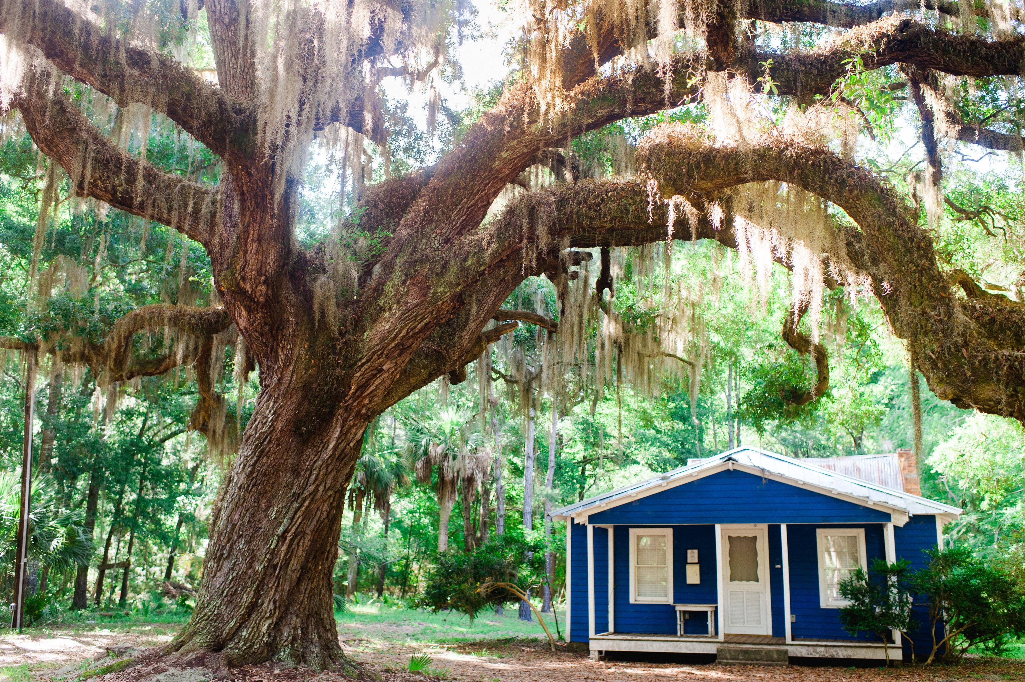 259-05-31-2015-daufuskie-chamber-commercial.jpg