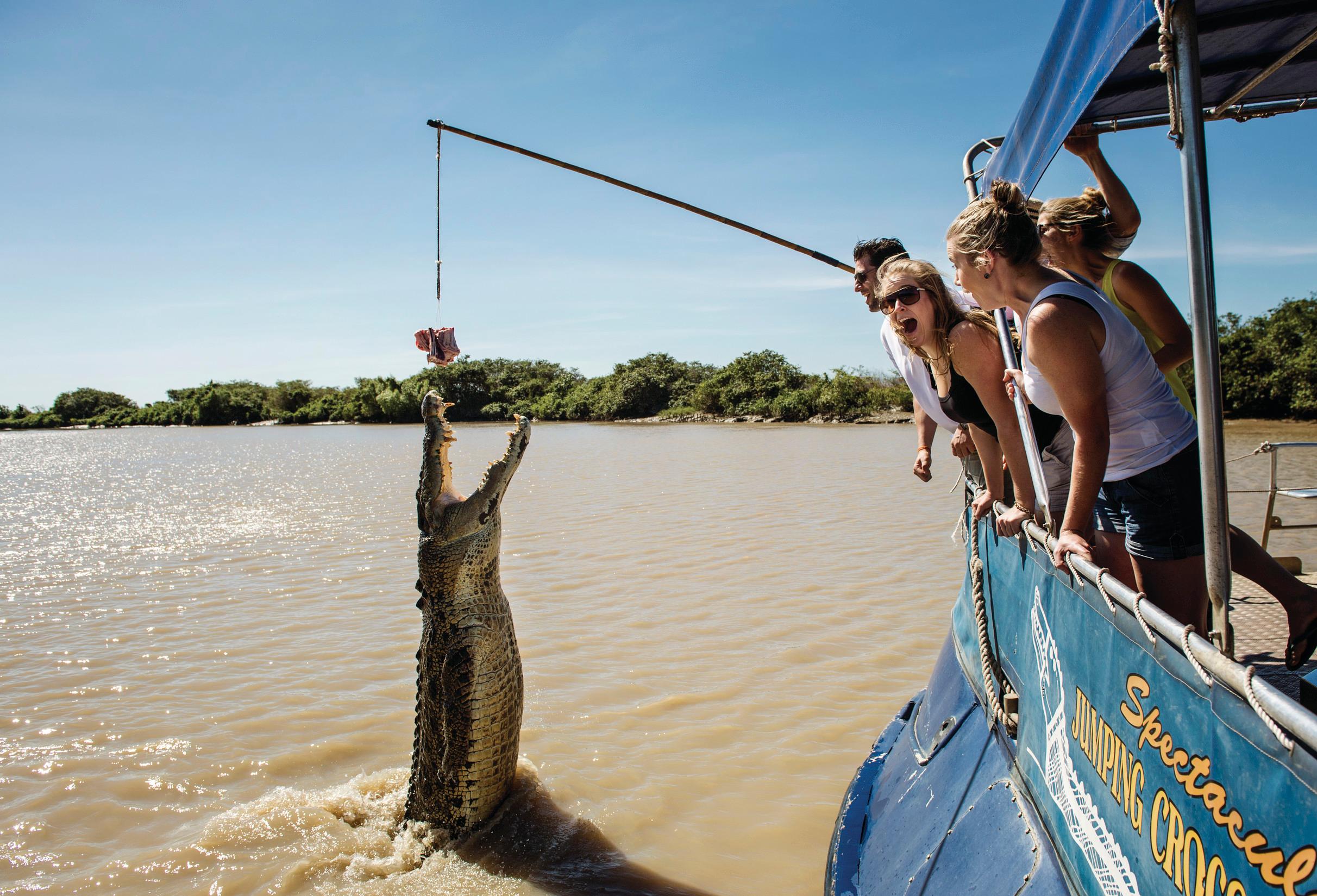 Jumping Croc.jpg