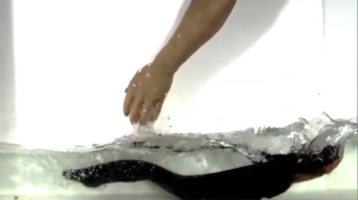 An Electric Eel Shocks a Fake Human Arm | Smithsonian Magazine